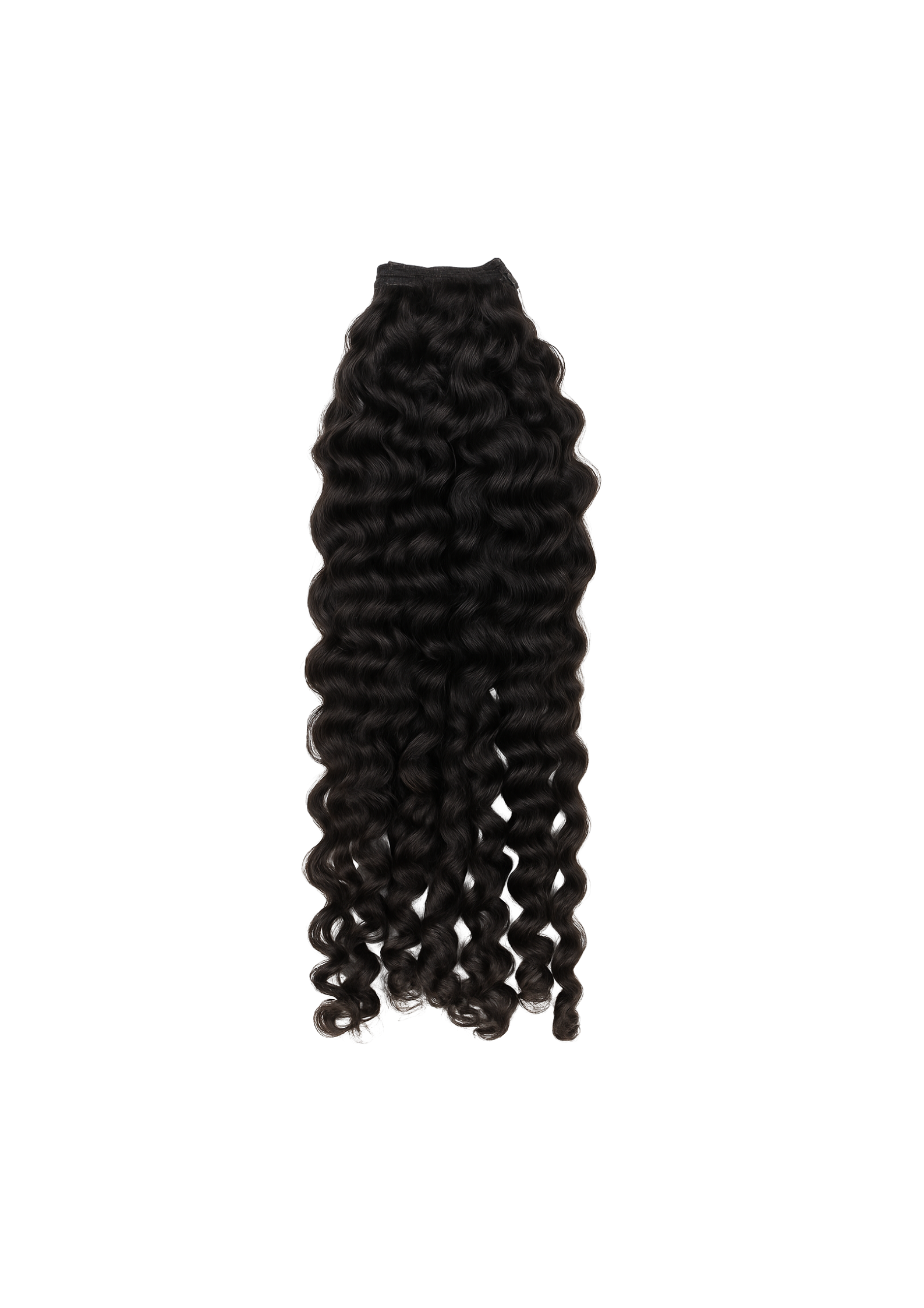 Burmese curly